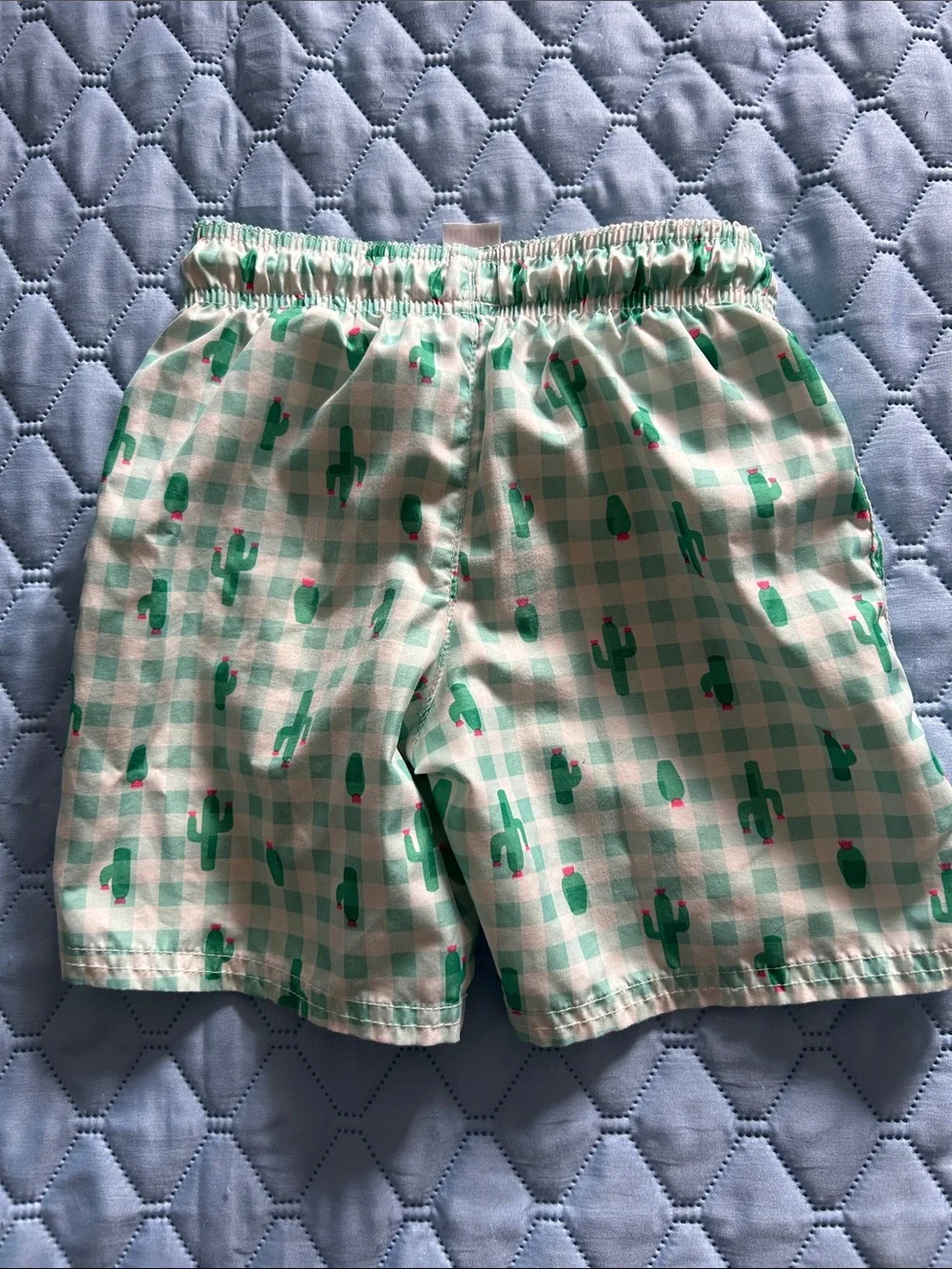 Cat & Jack Mint Green Plaid Cactus Swim Trunks
